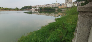 河畔风光宁静水边景致
