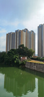 河畔高楼景观