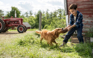 男孩与狗在农场亲密互动