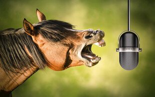 马对着麦克风嘶吼