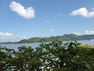 海边绿植与远山海景