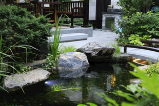中式庭院水景