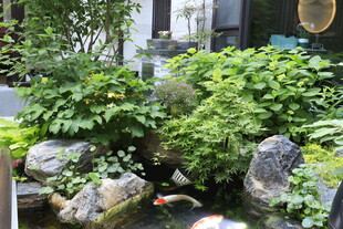 庭院中式水景绿植景观