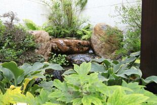 庭院绿植中的石质水景
