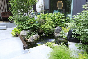日式庭院绿植景观