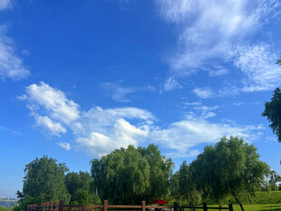 蓝天白云下的绿意田园