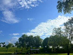 蓝天白云下的绿意风景