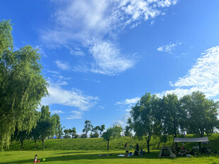 蓝天白云下的绿意公园