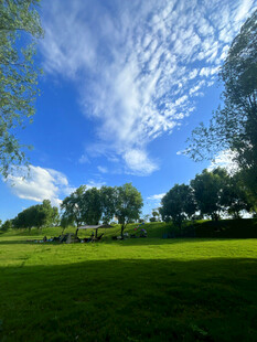 蓝天绿地间的清新自然景