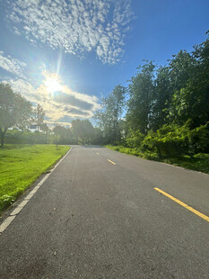 阳光照耀下的林间公路