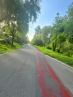 林间公路上的红色标线
