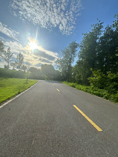 阳光照耀下的林间公路