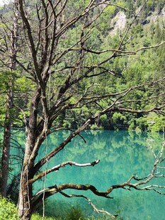 翠绿山林间的澄澈蓝湖