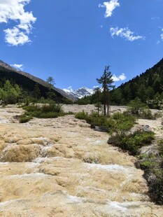 山间溪流旁的壮丽自然景观