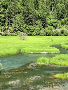 山间绿野中的蜿蜒溪流
