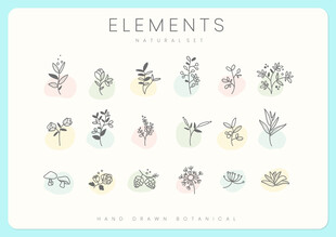 手绘花卉元素集合