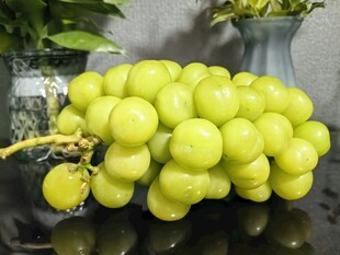 新鲜青提饱满诱人