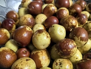 新鲜多彩冬枣堆成小山
