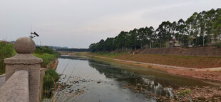 河畔风景
