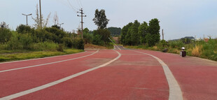 红色橡胶健身步道特写