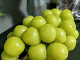 圆润青葡萄