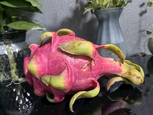 奇特造型火龙果特写
