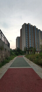 城市中绿植环绕的休闲步道