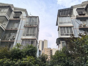 老旧居民楼与绿植景观