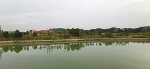 宁静湖畔风光