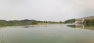 宁静湖畔风光