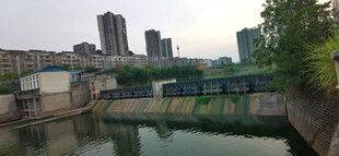 城市河畔堤坝风景