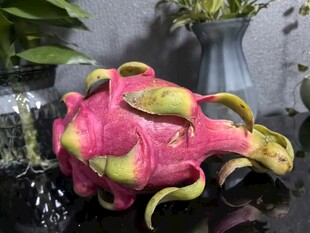 奇特造型新鲜火龙果