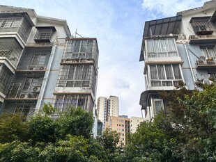高层住宅与绿植景观