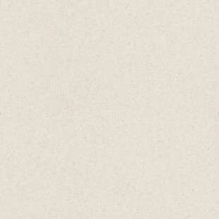 米白色纹理背景图