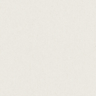 米白色简洁纹理背景图