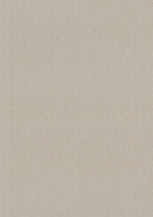 浅米色纹理背景图