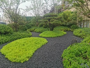精致庭院景观小径