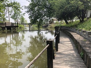 湖畔木栈道