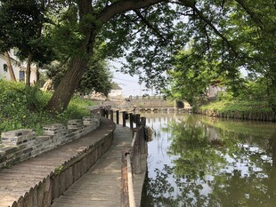 河畔绿荫小道