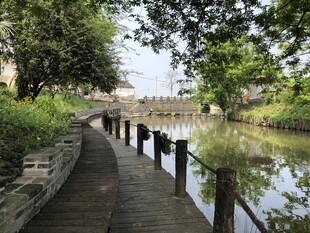 河畔木栈道的静谧风光