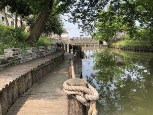 河畔木栈道与古朴绳索景观