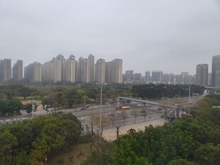 城市远景与绿植景观