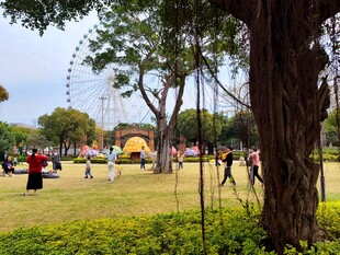 公园内热闹的户外休闲场景