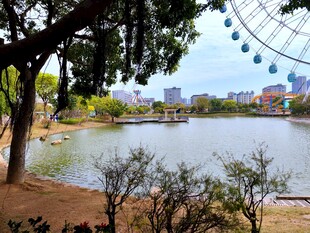 湖畔风光 远处摩天轮景致