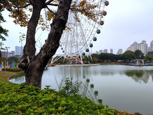 湖畔树影与远处摩天轮