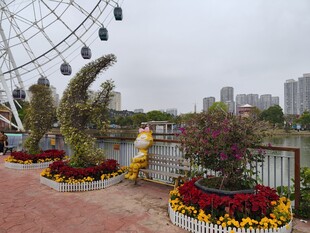 河畔花坛与摩天轮景观
