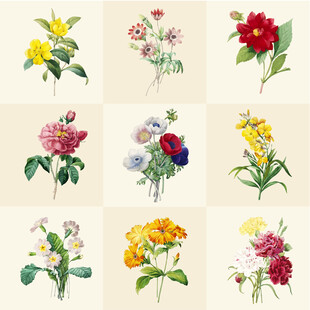 复古手绘花卉插画集合