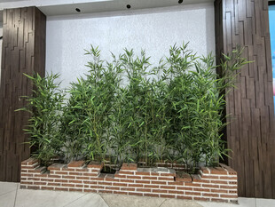 墙边仿真竹子绿植装点古朴景致