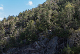 山林峭壁景观