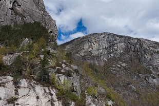 壮丽山景 岩石与植被相依